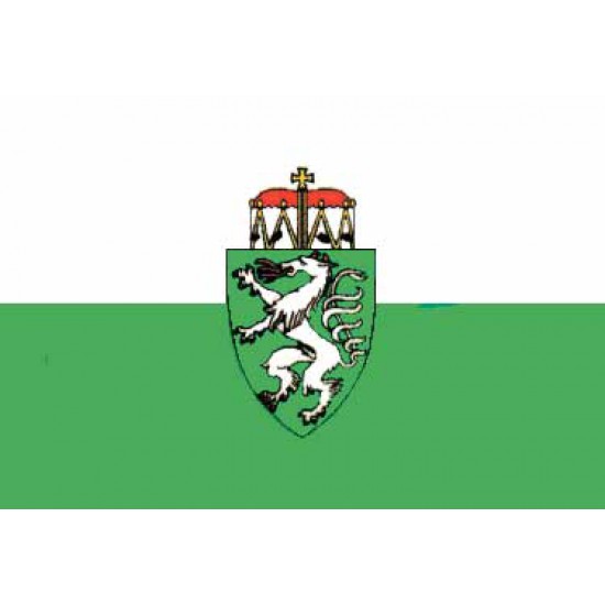allpa Steiermark vlag 20x30cm