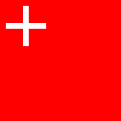 allpa Schwyz vlag 20x30cm